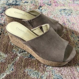 Charles David Wedges
